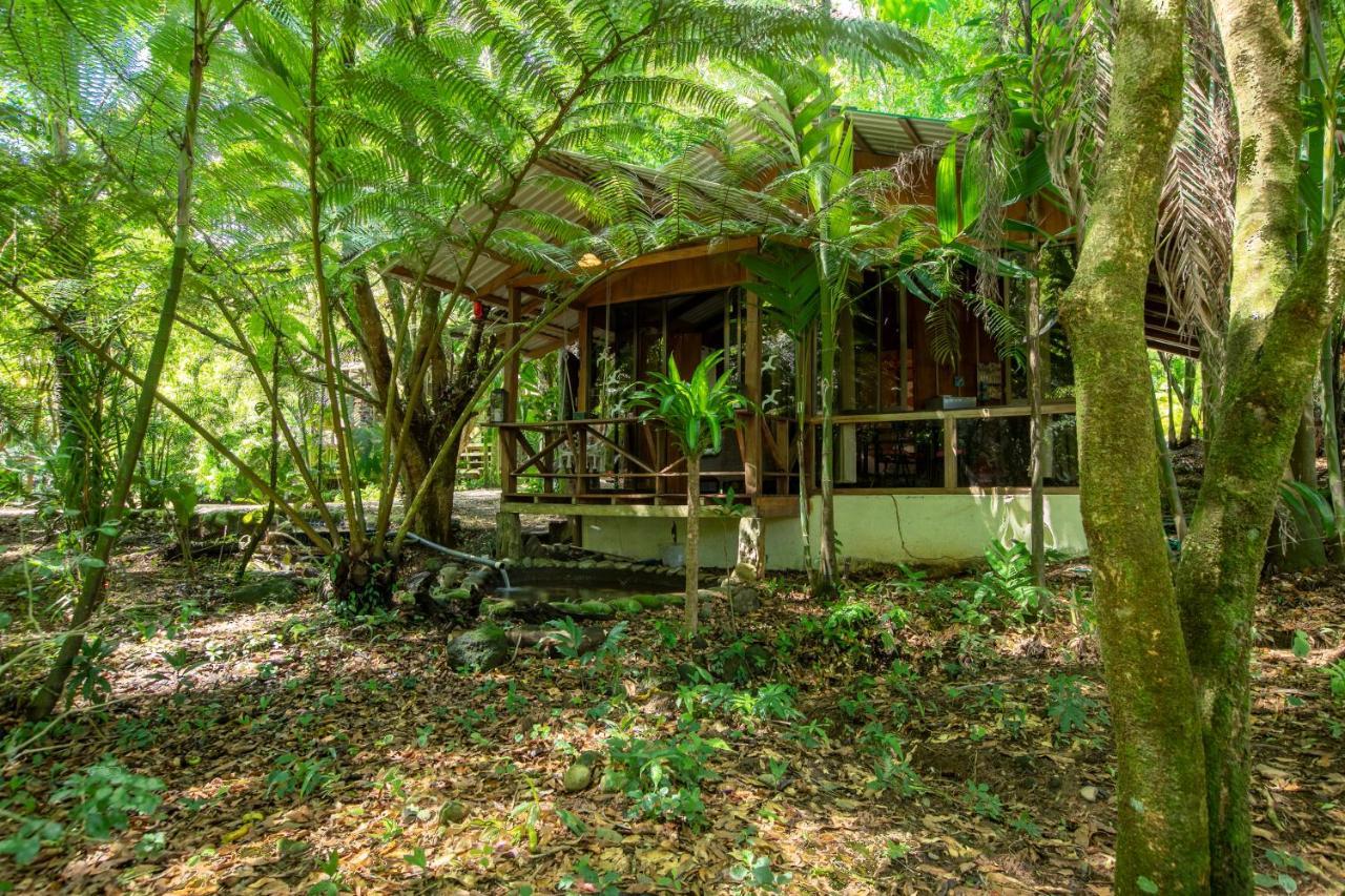 Cabanas Del Lago La Fortuna Eksteriør bilde