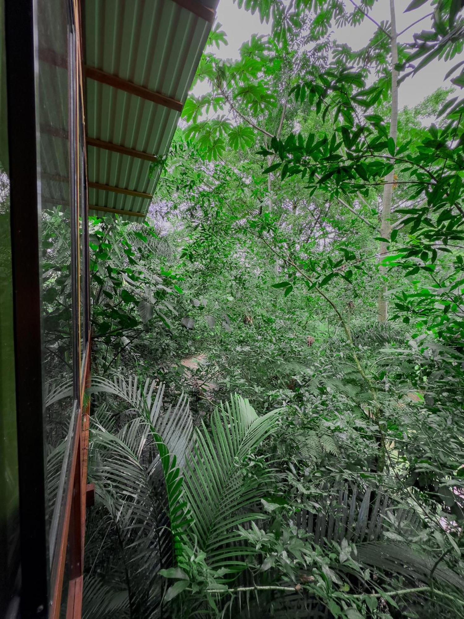 Cabanas Del Lago La Fortuna Eksteriør bilde